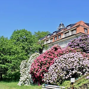  Apartment Und Kunst Deutschland